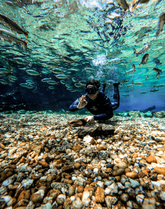 Ao chegar na nascente do Rio Olho D'Água, uma imensa piscina natural de águas cristalinas, o guia ajudará todos a se equipar com máscara e snorkel e treinar a flutuação para a exploração dos arredores.