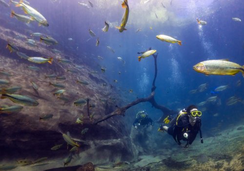 Mergulho com cilindro é atividade opcional no Recanto Ecológico Rio da Prata