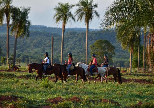 Contemple a natureza no passeio a cavalo do Recanto Ecológico Rio da Prata