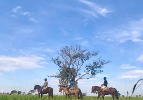 Passeio a cavalo com segurança no Rio da Prata