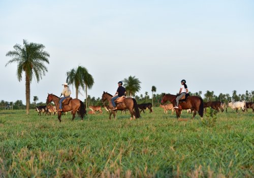 Passeio a cavalo no Recanto Ecológico Rio da Prata - Jardim/MS