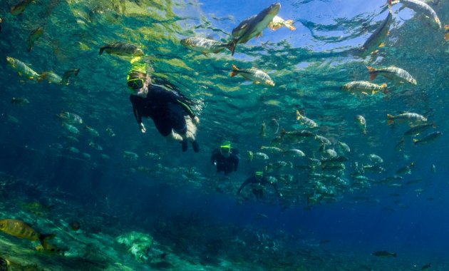 Flutuação nas águas cristalinas do Rio Olho D'Água 