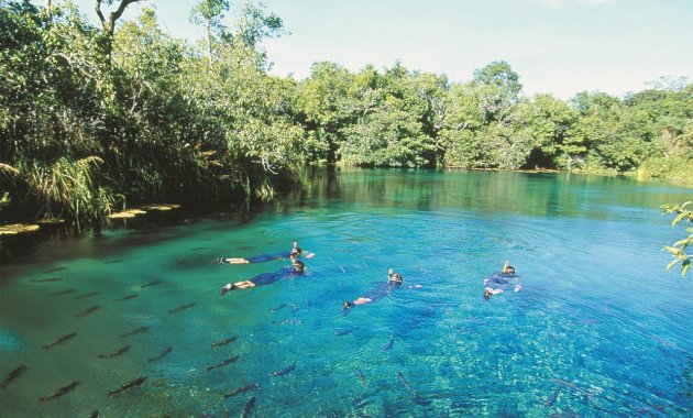 Registro histórico do passeio de flutuação no rio Olho D'Água