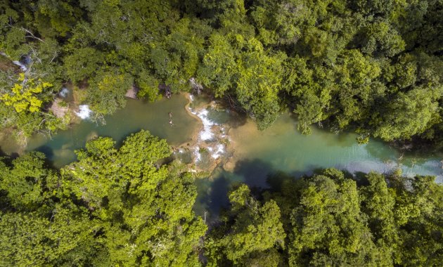 Mata ciliar conservada da RPPN Estância Mimosa