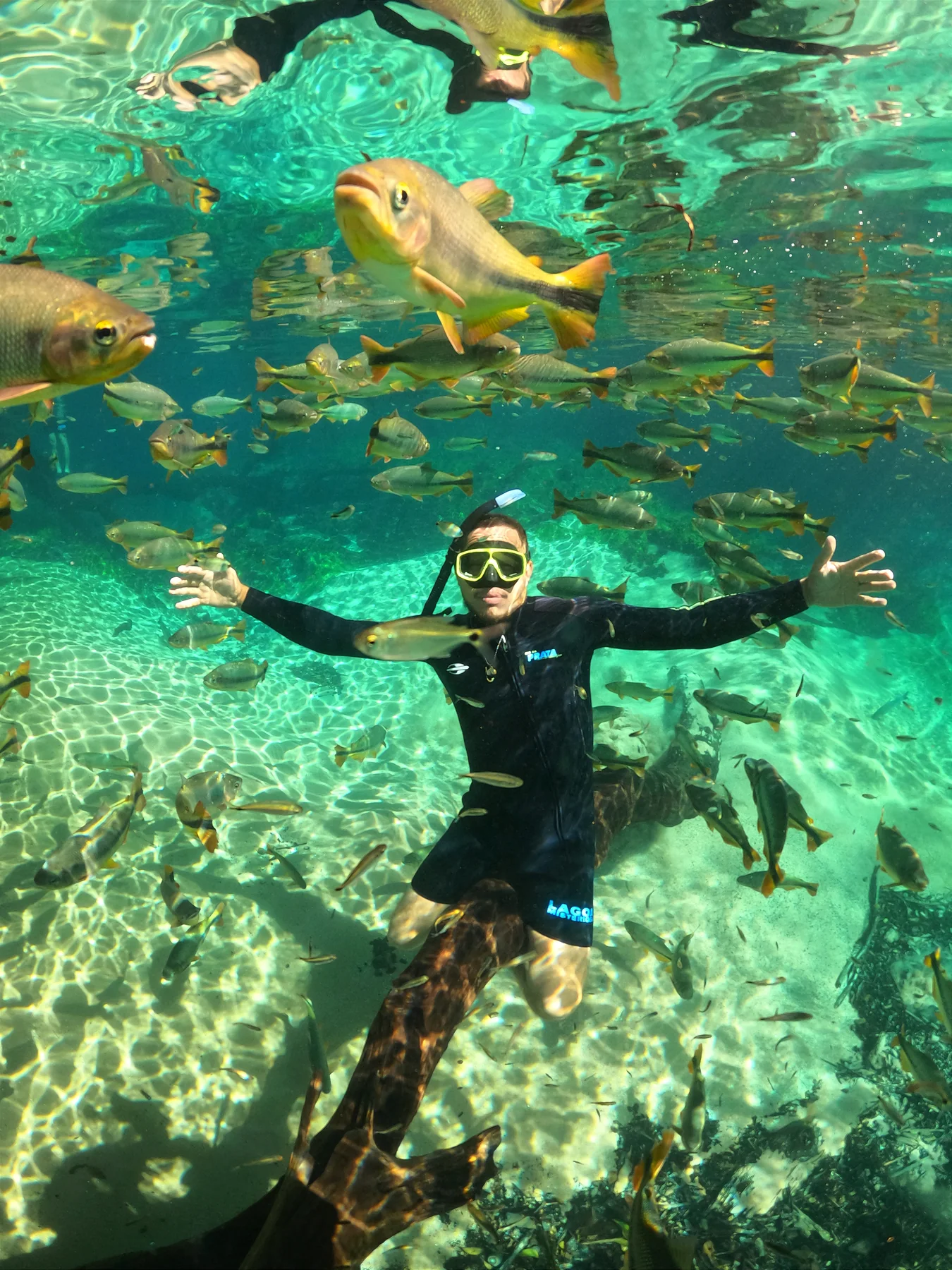Flutuação entre peixes no Rio da Prata