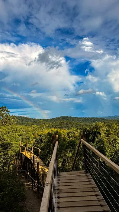 Passarela em meio à vegetação · Estância Mimosa Passarela em meio à vegetação — Estância Mimosa.