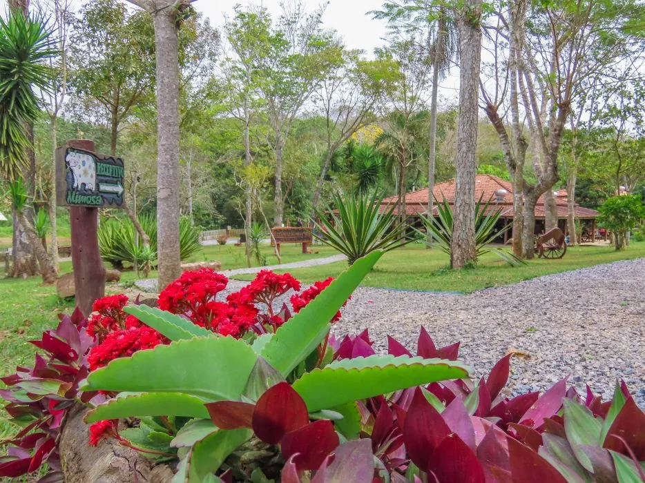 Sede e jardins da fazenda · Estância Mimosa Sede e jardins da fazenda — Estância Mimosa.