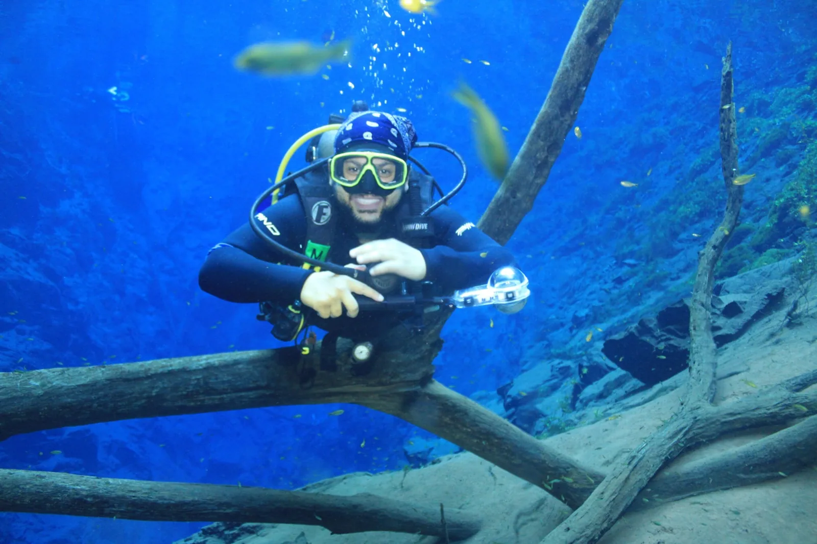 Mergulhador entre galhos submersos nas águas azuis da Lagoa Misteriosa