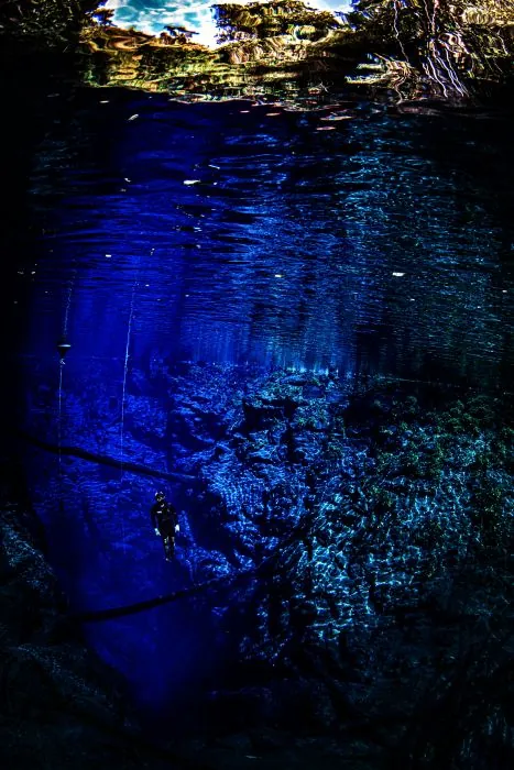 Vista submersa em direção à superfície · Lagoa Misteriosa Vista submersa em direção à superfície — Lagoa Misteriosa.