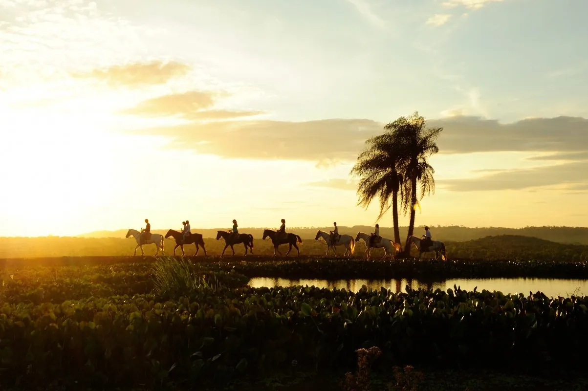 Cavalgada ao pôr do sol · Rio da Prata Cavalgada ao pôr do sol — Rio da Prata.