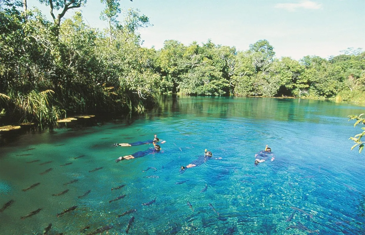 Grupo de visitantes junto à água · Rio da Prata Grupo de visitantes junto à água — Rio da Prata.