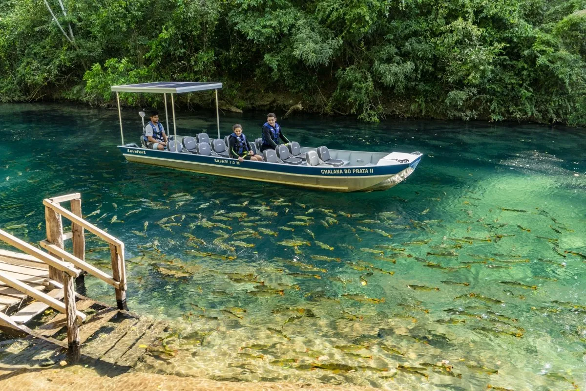 Passeio de barco no rio · Rio da Prata Passeio de barco no rio — Rio da Prata.