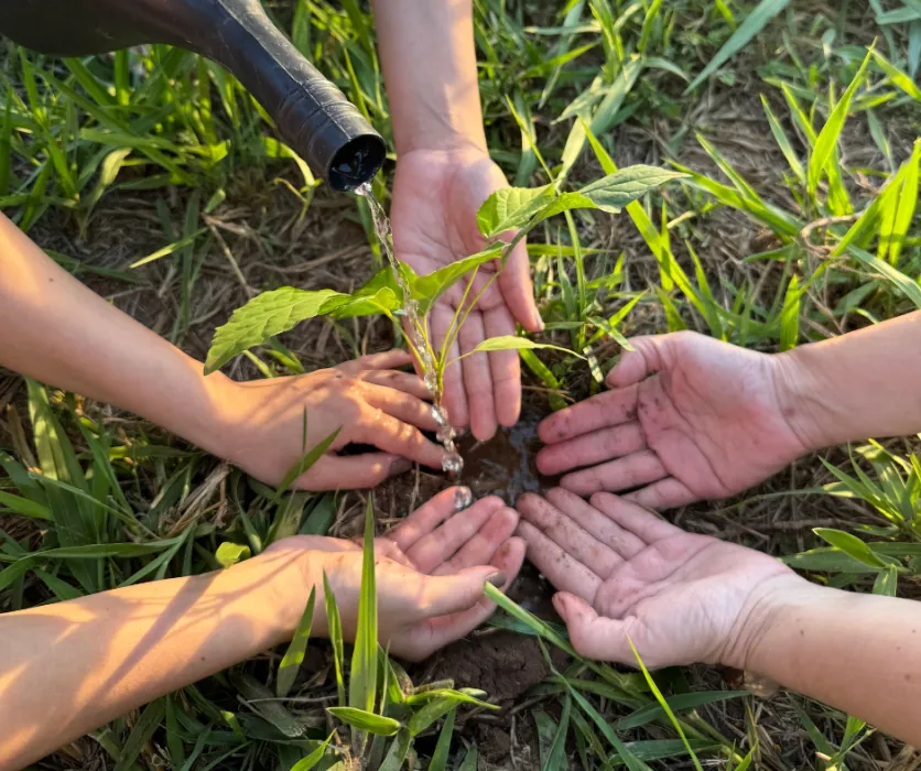 Plantio e cuidado com a vegetação · Rio da Prata Plantio e cuidado com a vegetação — Rio da Prata.