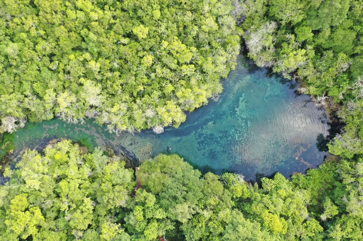 Vista aérea da água e da mata · Rio da Prata Vista aérea da água e da mata — Rio da Prata.