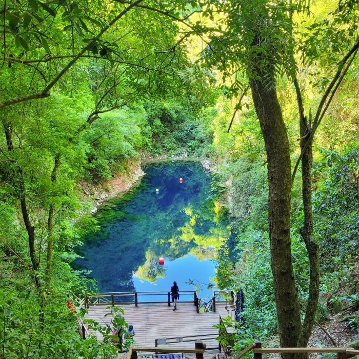 In the middle of a dense and preserved forest, there is a flooded cave of unknown depth, which enchants with its crystal clear turquoise waters.