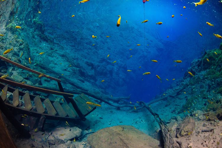 A escada submersa da Lagoa Misteriosa é um dos locais ideais para fotos no passeio.