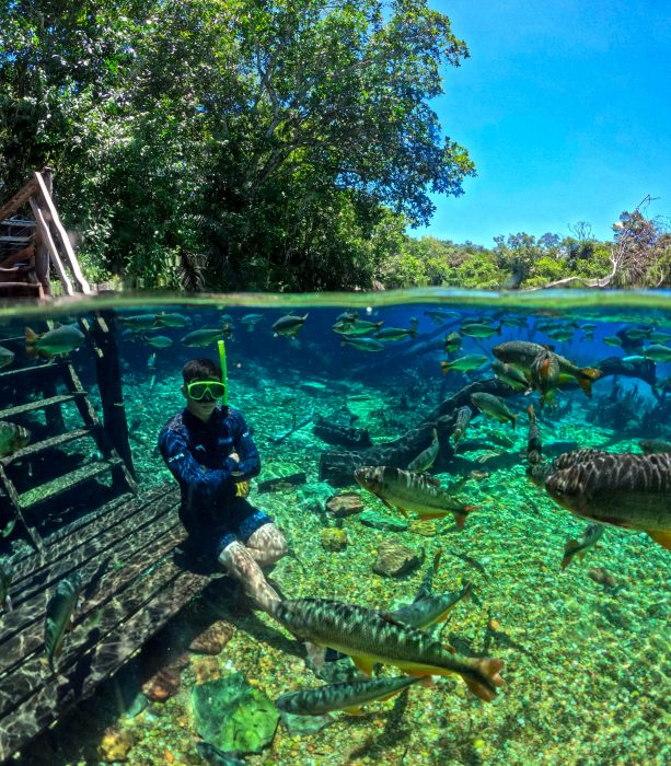 Em sintonia com a natureza no Recanto Ecológico Rio da Prata! Flutue na tranquilidade das águas cristalinas.