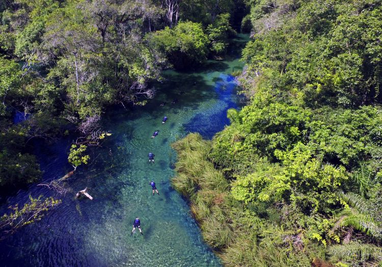 A suave correnteza leva os visitantes calmamente por um passeio em um mundo subaquático, habitado por dezenas de espécies de peixes e plantas aquáticas.