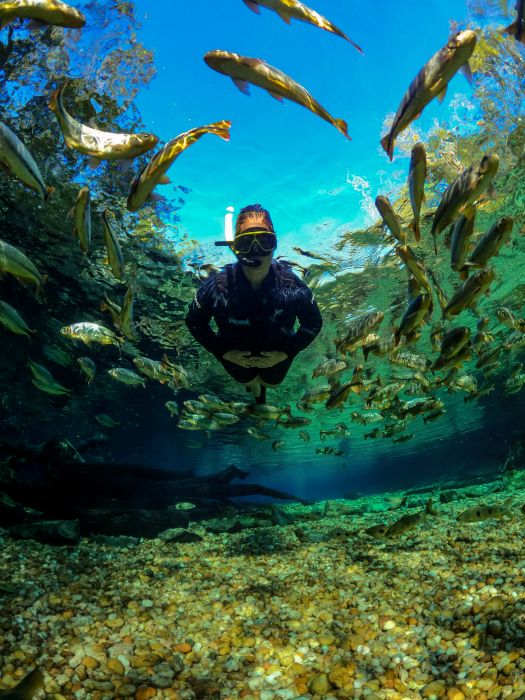 Floating at Recanto Ecológico Rio da Prata is an unmissable experience for nature lovers.