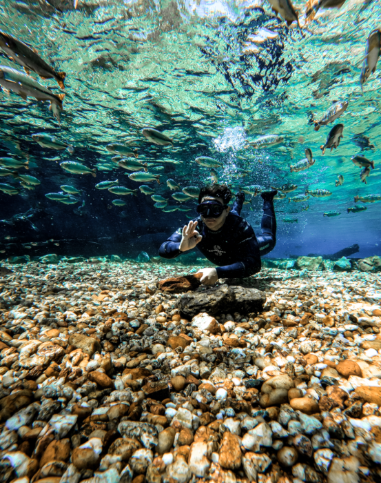 Upon arriving at the source of the Olho D'Água River, an immense natural pool with crystal clear waters, the guide will help everyone equip themselves with a mask and snorkel and train their floating skills to explore the surroundings.