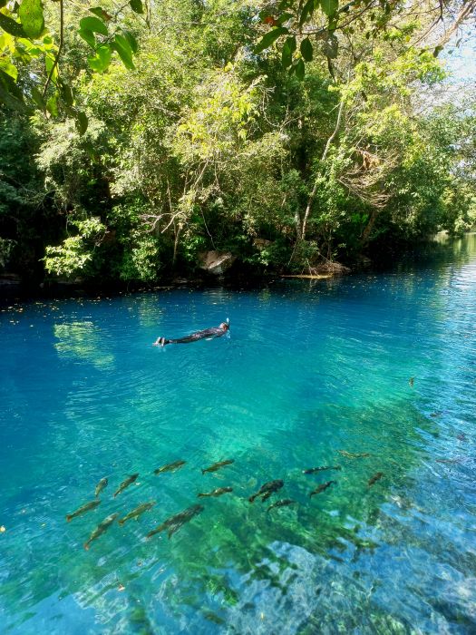 Flutue em um paraíso de águas cristalinas e cardumes de peixes coloridos no Recanto Ecológico Rio da Prata!