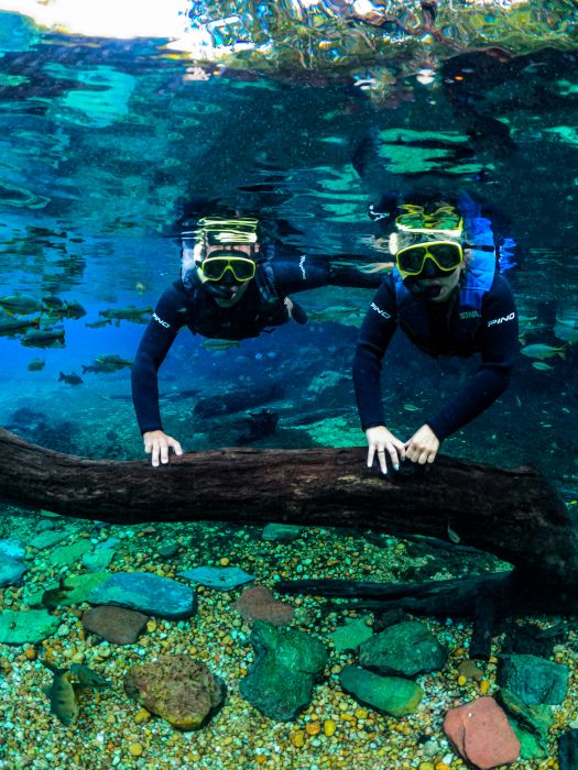 O passeio de flutuação é uma das atrações de Bonito e região! A atividade no Recanto Ecológico Rio da Prata oferece uma experiência única em águas cristalinas e lado a lado de diversas espéies de peixes.