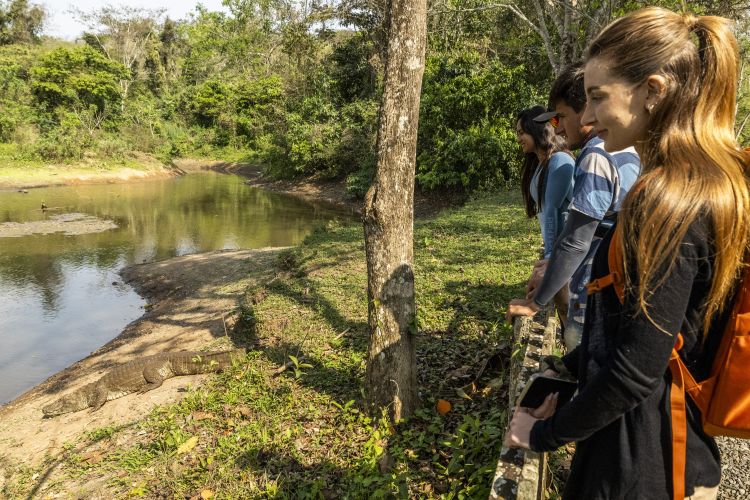 Os jacarés que vivem no lago da Estância Mimosa (Bonito/MS), uma área cercada em meio a uma natureza preservada, são uma das atrações mais surpreendentes do local.