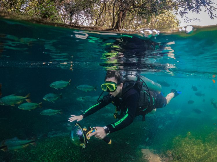 Descubra a beleza natural do Recanto Ecológico Rio da Prata durante o mergulho com cilidro.