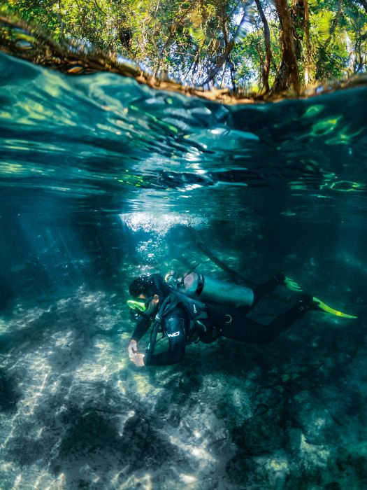 O mergulho com cilindro no Recanto Ecológico Rio da Prata é a experiência perfeita para iniciantes e experientes, com acompanhamento de instrutores experientes que garantem sua segurança e conforto.
