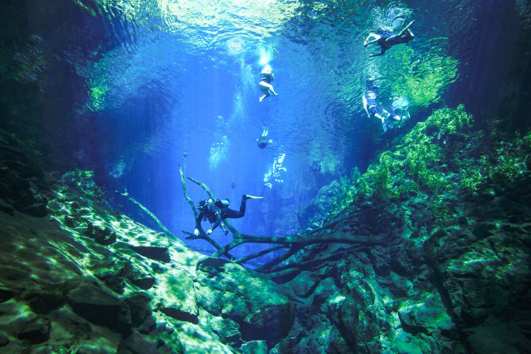 


 




A Lagoa Misteriosa oferece os passeios de flutuação e mergulho com cilindro. Duas experiência incríveis em suas águas cristalinas e cenário encantador.
