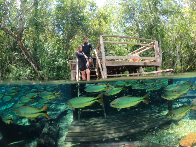 Explore the unique serenity of nature on the floating tour at Recanto Ecológico Rio da Prata.