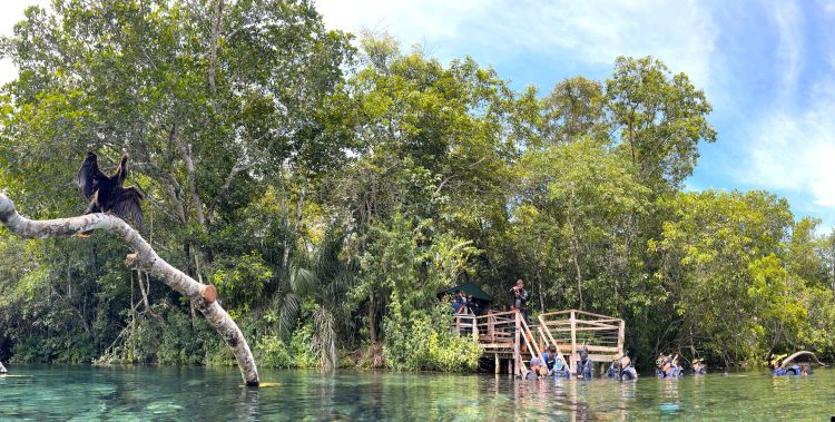 The enchanting nature of Recanto Ecológico Rio da Prata. Embark on a floating tour and immerse yourself in the unique opportunity to contemplate the wildlife and crystal clear waters that embrace this paradise.