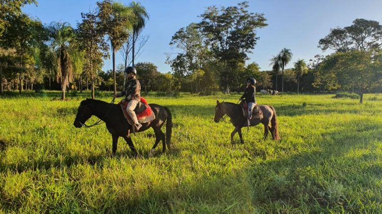Proporcionando momentos inesquecíveis de contato com a natureza, cavalos mansos e treinados oferecem toda a segurança necessária para momentos de diversão e tranquilidade na Estância Mimosa.