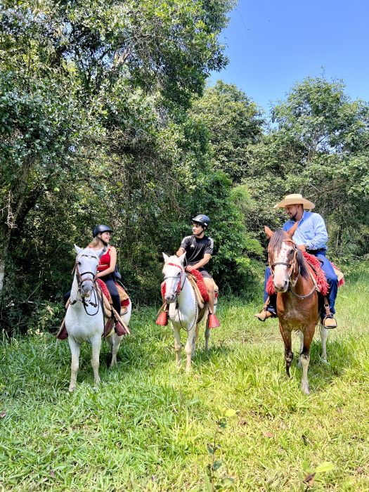 Para os que desejam uma interação maior com a natureza e conhecer um pouco mais sobre a cultura local, a Estância Mimosa (Bonito/MS) oferece passeio a cavalo pelas matas e morrarias da região.