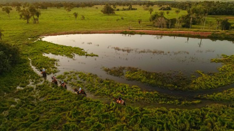 Um guia especializado acompanha o grupo durante o percurso por diversos ambientes da fazenda com vista privilegiada do cerrado e dos campos da região, passando também por açudes onde jacarés e frangos d’água são presença constantes, por trechos de cerrado nativo e ao lado de um pequeno cemitério de mais de 100 anos de idade.