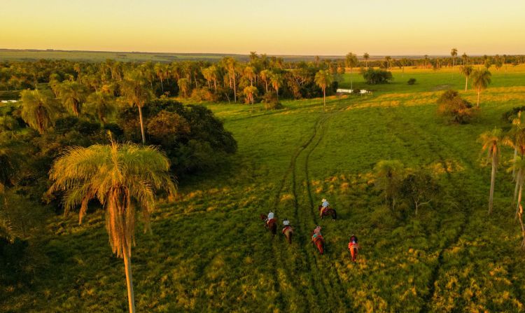 An opportunity to contemplate nature combined with a uniquely beautiful setting and accompanied by a beautiful sunset painted in shades of pink, orange and blue.