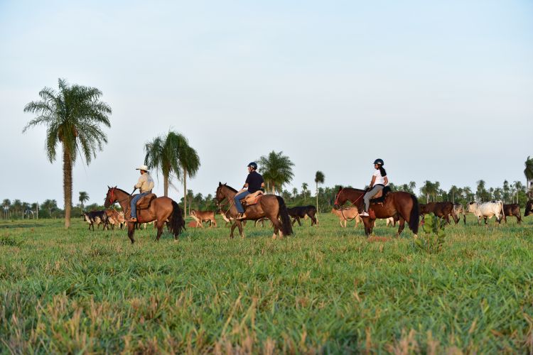 O passeio a cavalo é uma das atividades opcionais do Recanto Ecológico Rio da Prata, atrativo turístico na região da Serra da Bodoquena.