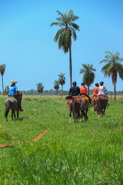 A trilha do passeio a cavalo é leve e segura, perfeita para todas as idades, proporcionando momentos de descontração e conexão com a natureza.