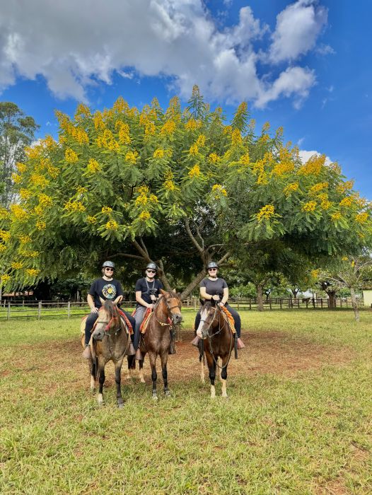 No Recanto Ecológico Rio da Prata, o passeio a cavalo oferece uma oportunidade para imergir na natureza, aprender sobre a vida rural e entender as práticas pecuárias da fazenda.