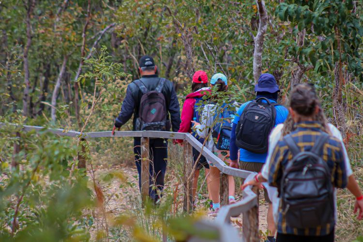 O passeio de trilha e cachoeiras da Estância Mimosa é conduzido por um guia de turismo credenciado e capacitado. Durante o percurso ele garantirá a segurança e fornecerá uma série de informações da região de Bonito MS. 